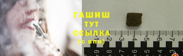 гашик Алексин