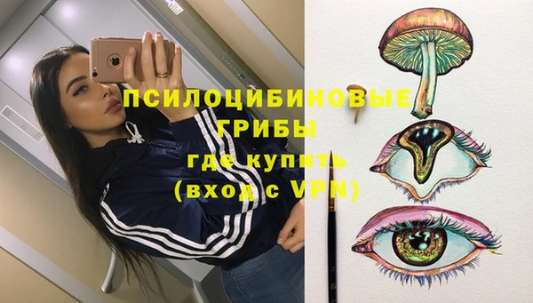 ALPHA PVP Елизово