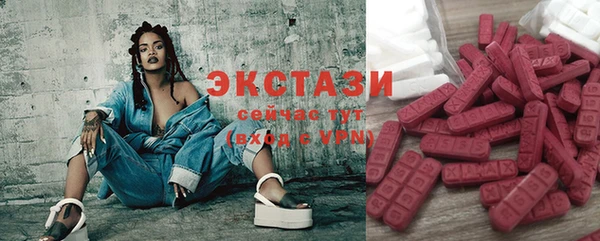 гашик Алексин