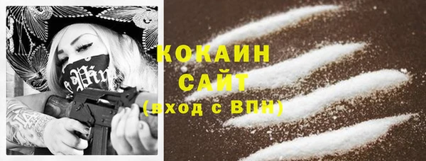 гашик Алексин