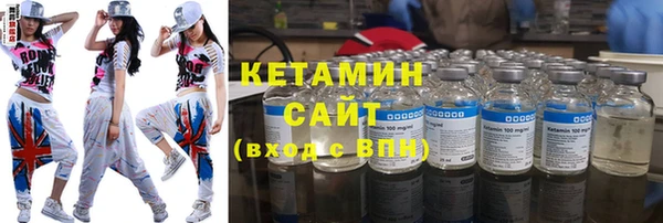 гашик Алексин