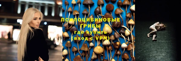 ешки Алзамай