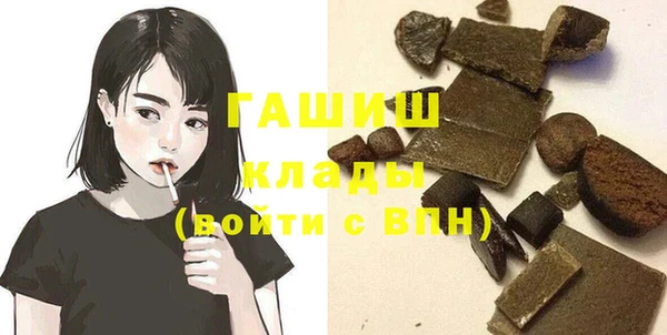 гашик Алексин